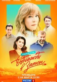 Однажды в Залесье (2025)